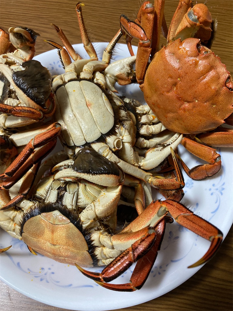 f:id:Nakase:20231217033556j:image