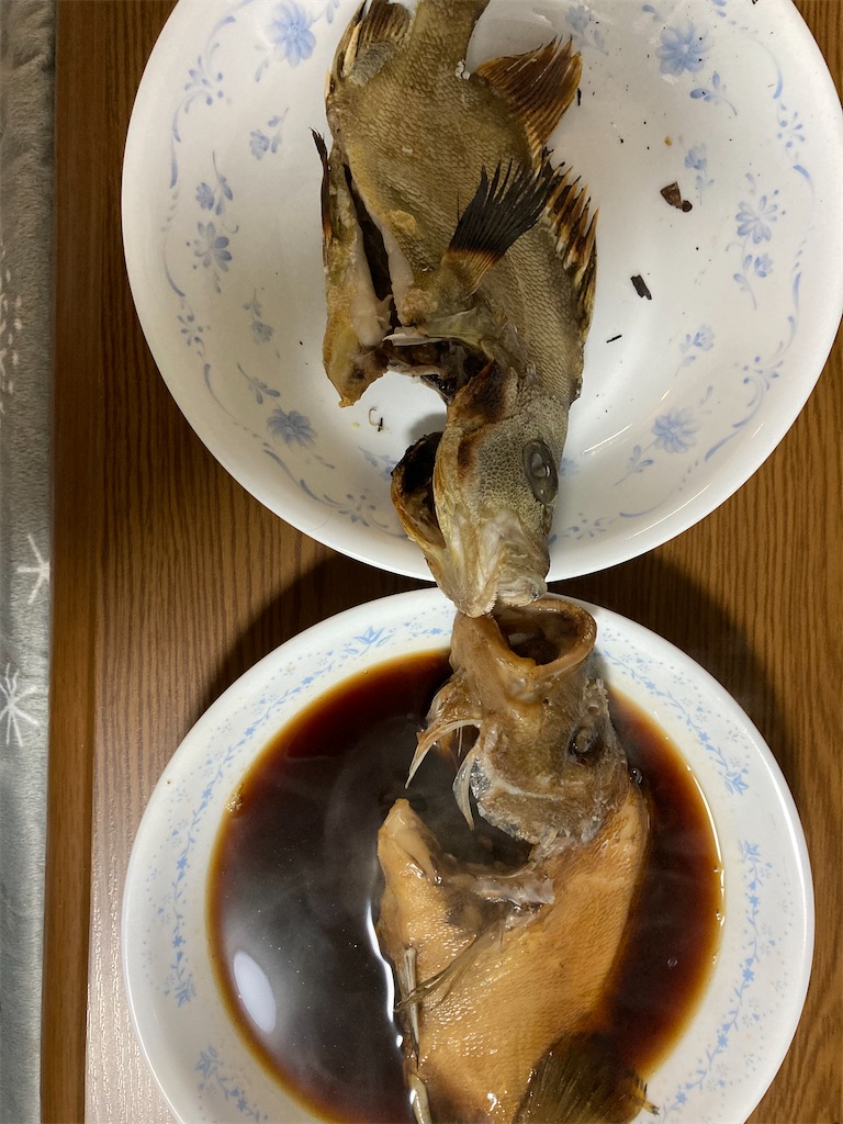 f:id:Nakase:20231217035240j:image