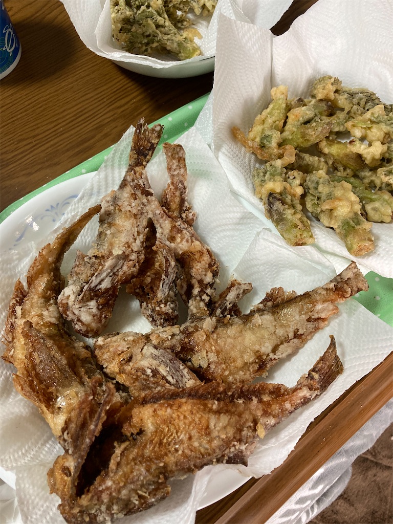 f:id:Nakase:20231217061204j:image