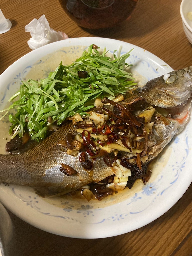 f:id:Nakase:20231217061451j:image