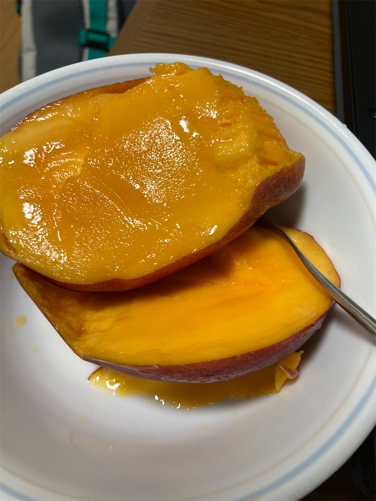 f:id:Nakase:20231217062241j:image