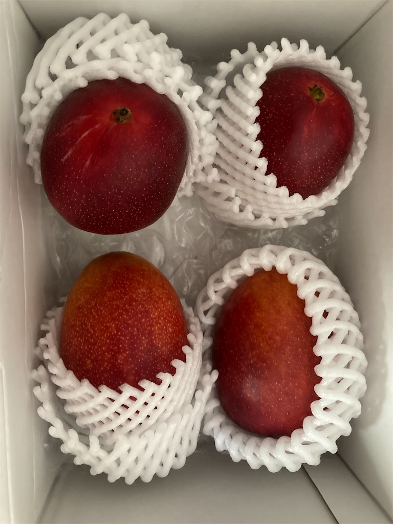 f:id:Nakase:20231217063939j:image