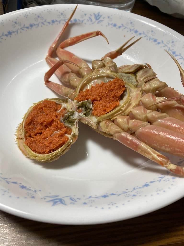 f:id:Nakase:20231217064016j:image