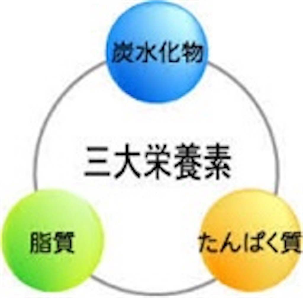 f:id:Nakashima18:20211116022004j:image f:id:Nakashima18:20211116022004j:image