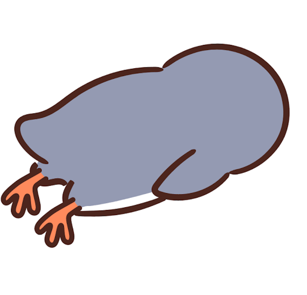 f:id:Nakashima18:20211116022833p:image f:id:Nakashima18:20211116022833p:image