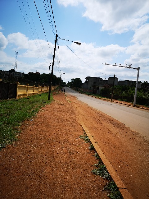 f:id:NamachaPC:20210411222606j:image f:id:NamachaPC:20210411222606j:image