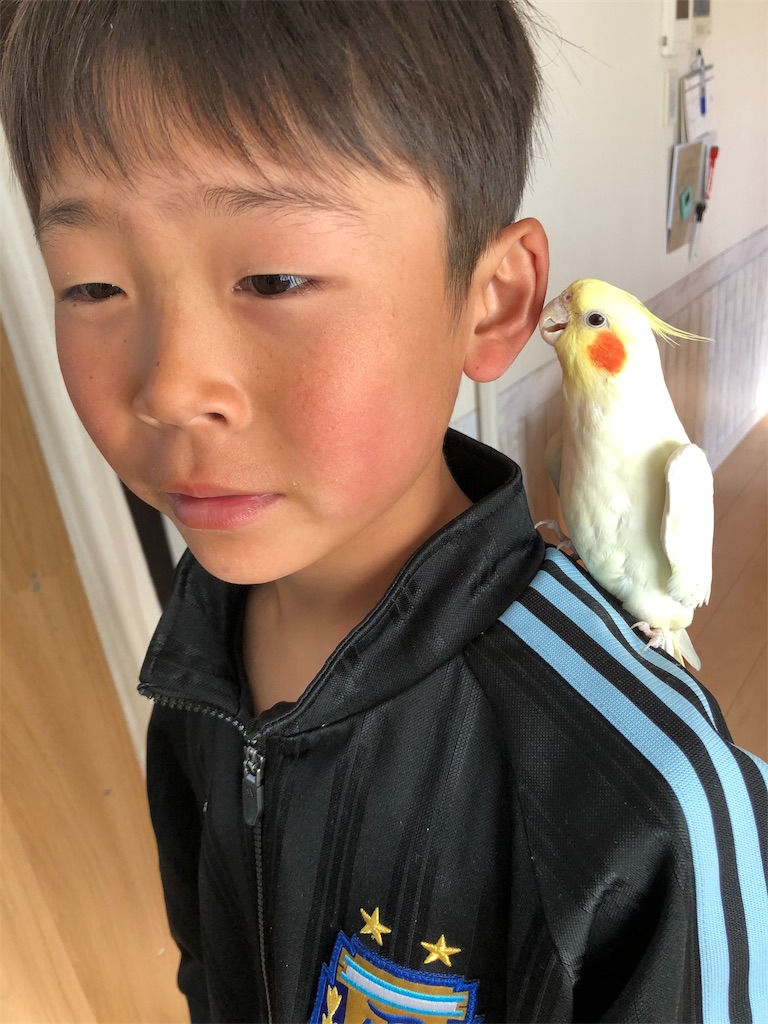 f:id:Namu5586:20190404084802j:image f:id:Namu5586:20190404084802j:image