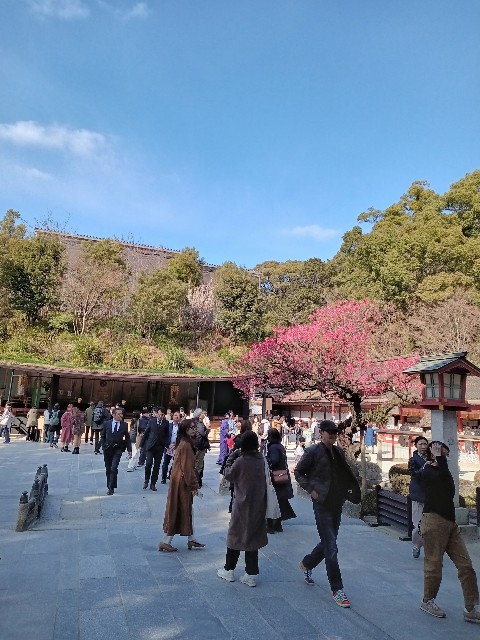 f:id:Namuami:20250307185312j:image