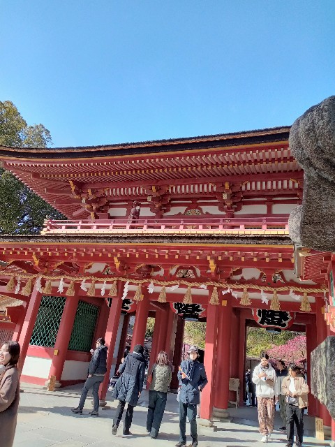 f:id:Namuami:20250307190059j:image