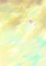 傘で空を飛んでみたいです。(笑)