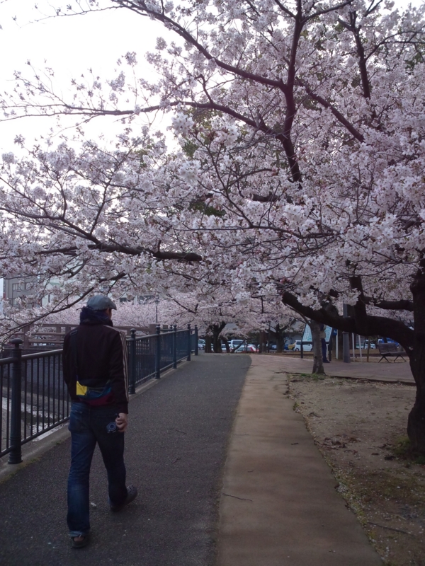 f:id:Nanako2525:20120403145401j:image:w300