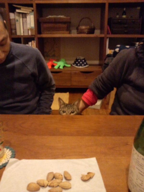 f:id:Nanako2525:20120414233611j:image:w200