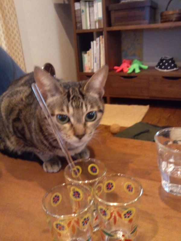 f:id:Nanako2525:20120415092617j:image:w200