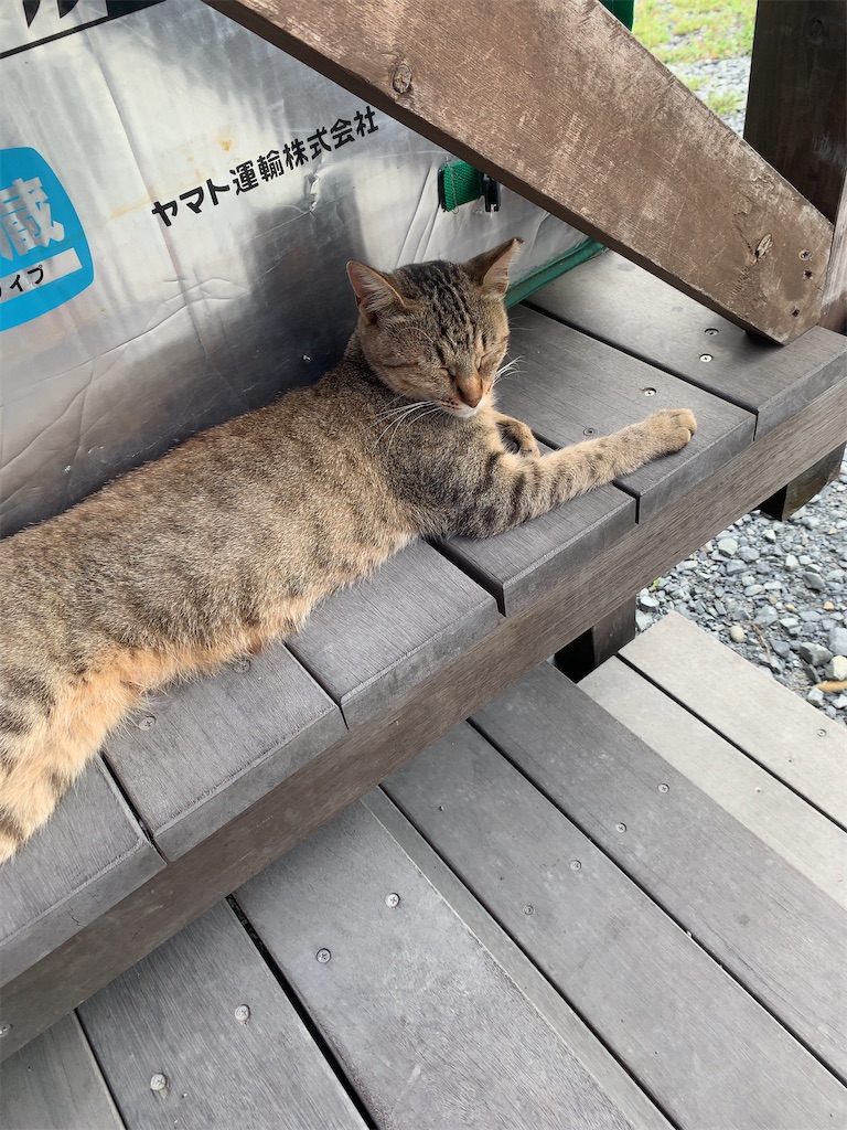 f:id:Nanase_road:20200110205317j:image f:id:Nanase_road:20200110205317j:image