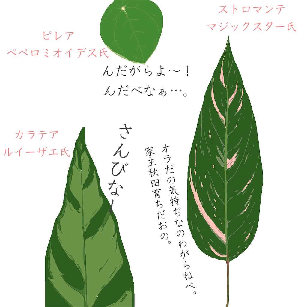 f:id:Nanashinookappa:20210120005658j:image