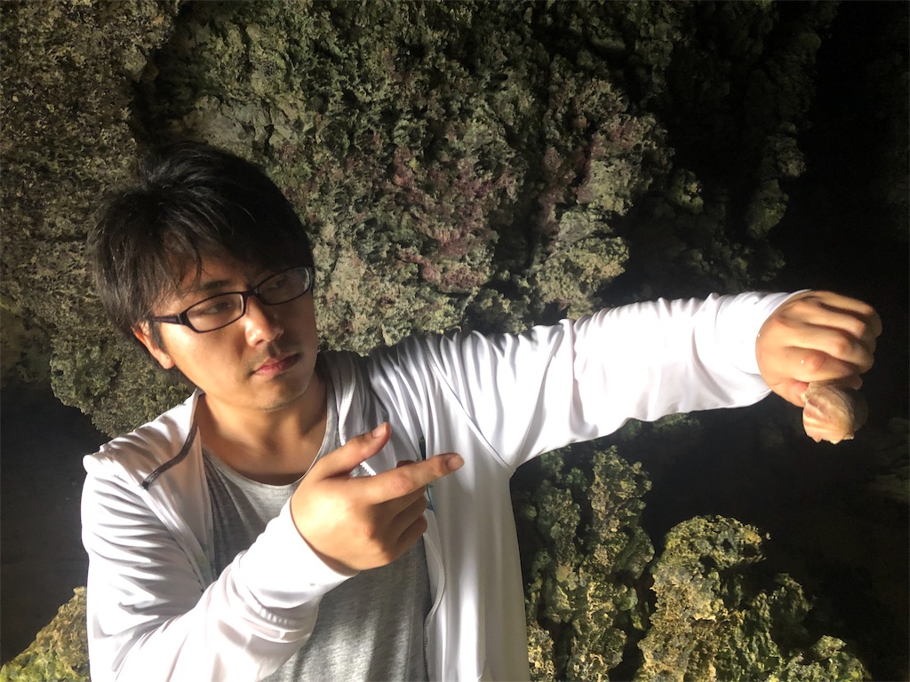 f:id:Nanavi7:20190722004157j:image