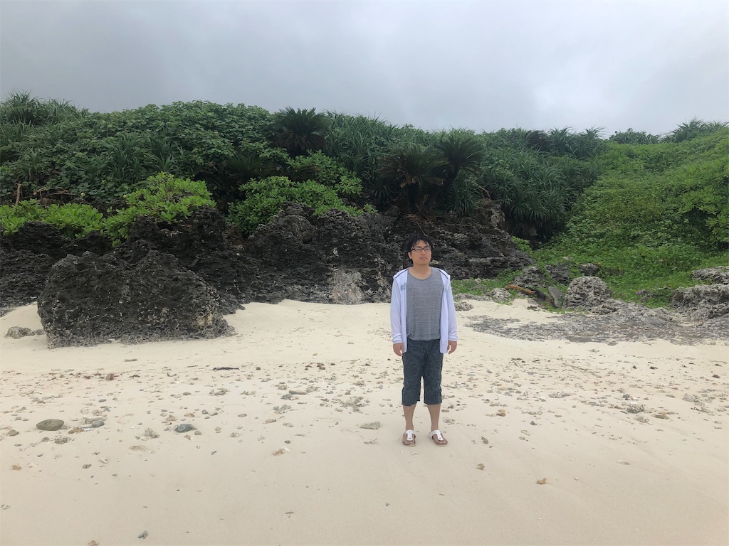 f:id:Nanavi7:20190722004311j:image