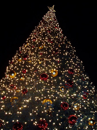 f:id:Nancynancy:20070208025907j:image