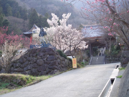 龍雲寺の仁王像02