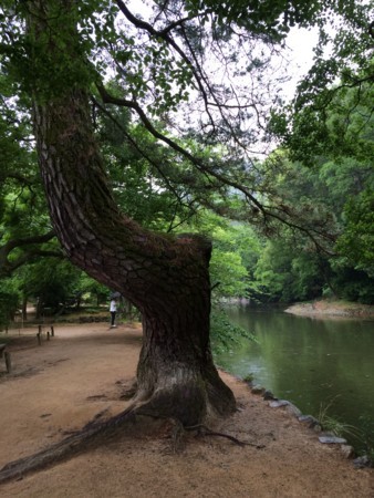 f:id:Nanjai:20180502170141j:plain f:id:Nanjai:20180502170141j:plain