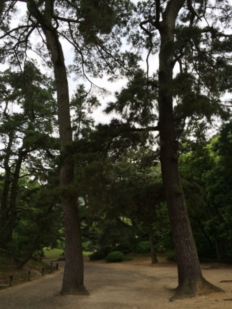 f:id:Nanjai:20180502170356j:plain f:id:Nanjai:20180502170356j:plain
