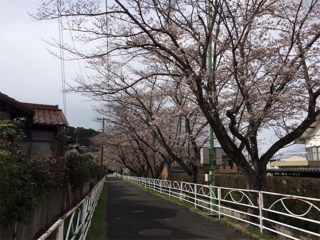 f:id:Nanjai:20190406180629j:image f:id:Nanjai:20190406180629j:image