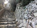 20250104133855