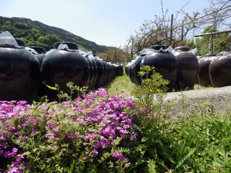 f:id:Nanohana:20140414123257j:image