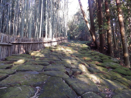 f:id:Nanohana:20160120162259j:image