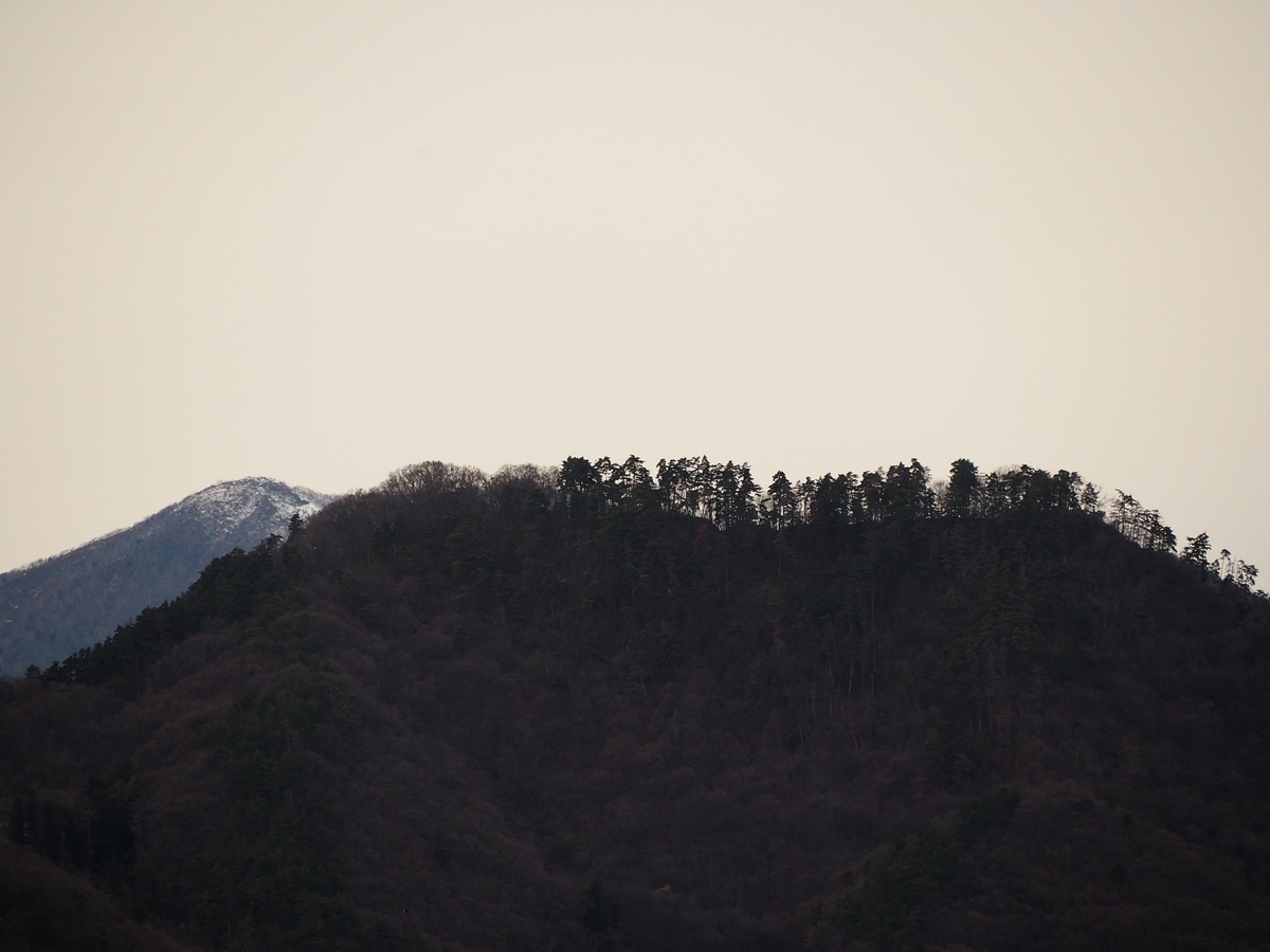 f:id:Nanzan-Bunko:20200515225112j:plain f:id:Nanzan-Bunko:20200515225112j:plain