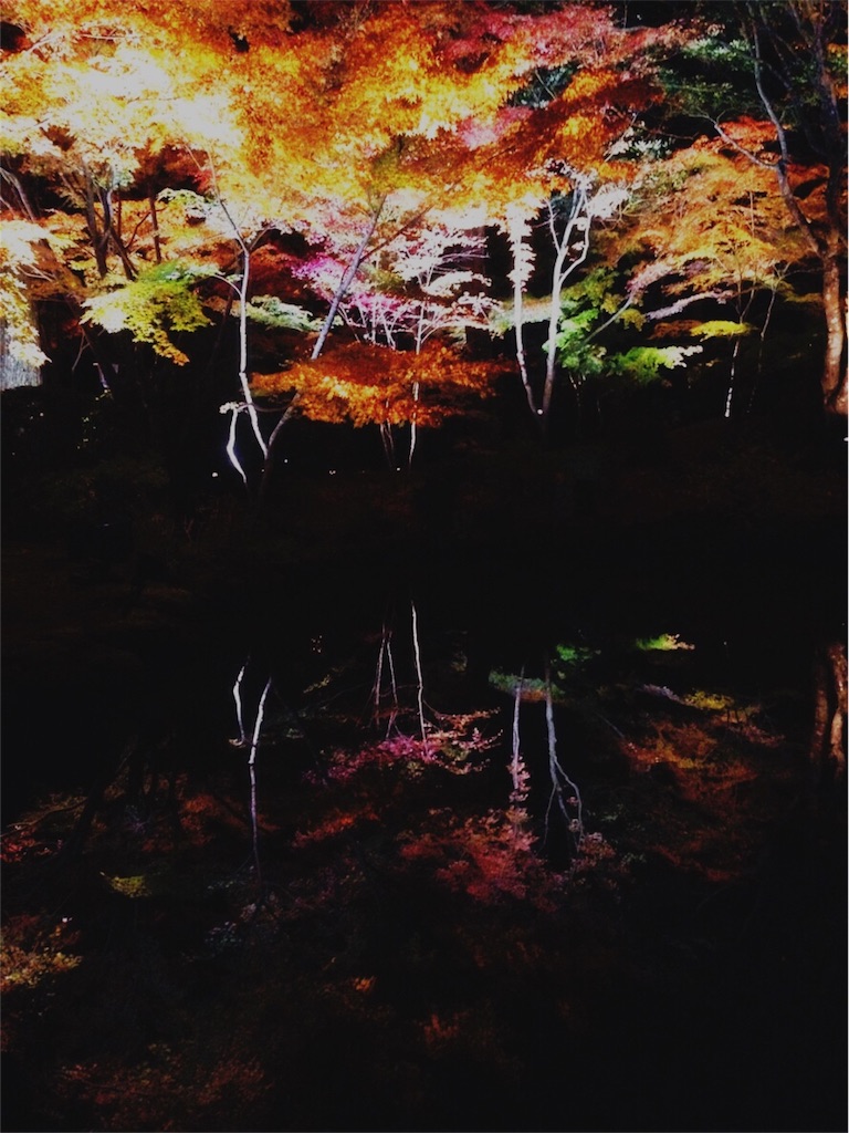 f:id:Nao-126:20181116005027j:image f:id:Nao-126:20181116005027j:image