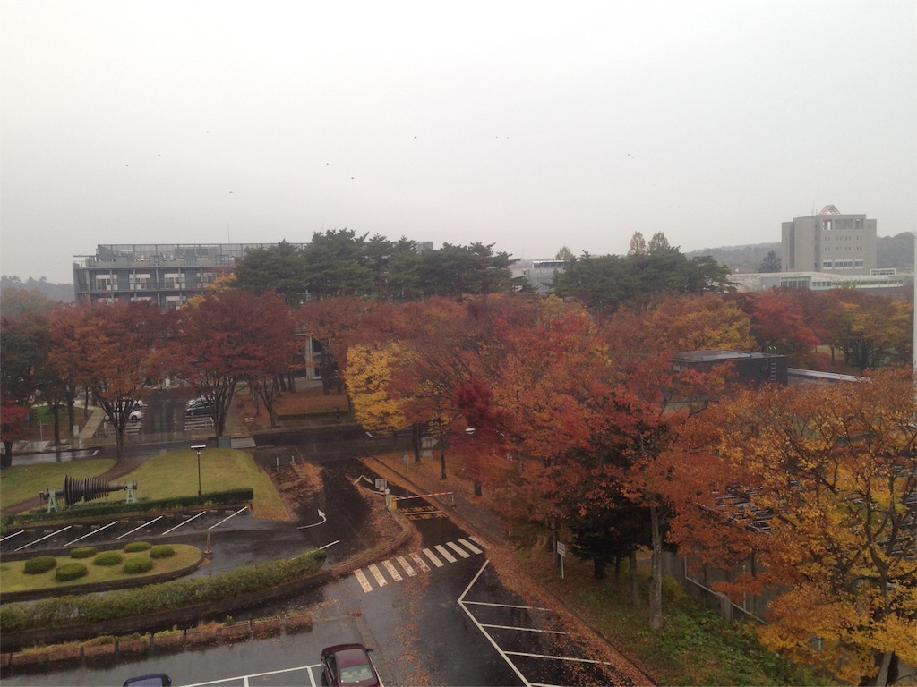 f:id:Nao-126:20181116015713j:image f:id:Nao-126:20181116015713j:image