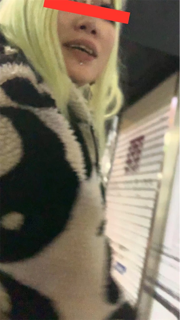 f:id:NaoNaooan:20230326002910j:image f:id:NaoNaooan:20230326002910j:image