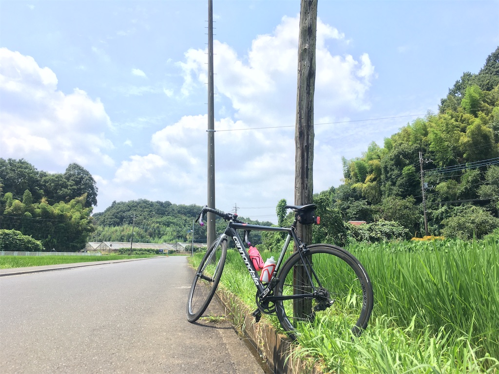 f:id:Naoaki0778:20200804214836j:image f:id:Naoaki0778:20200804214836j:image
