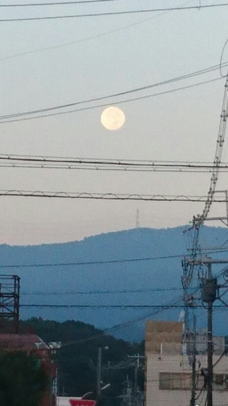 f:id:Naoki__Ito:20150929190740j:image:w360