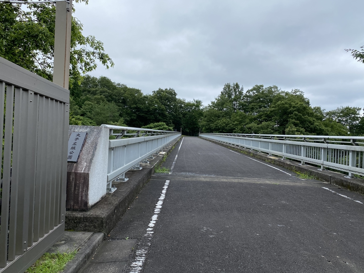 f:id:Naokiman:20210705221243j:plain
