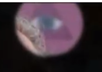 f:id:Naomi-sayonara:20190611211837p:plain f:id:Naomi-sayonara:20190611211837p:plain