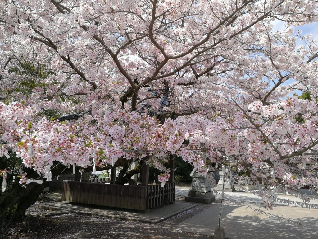 f:id:Naonari:20180409131622j:plain