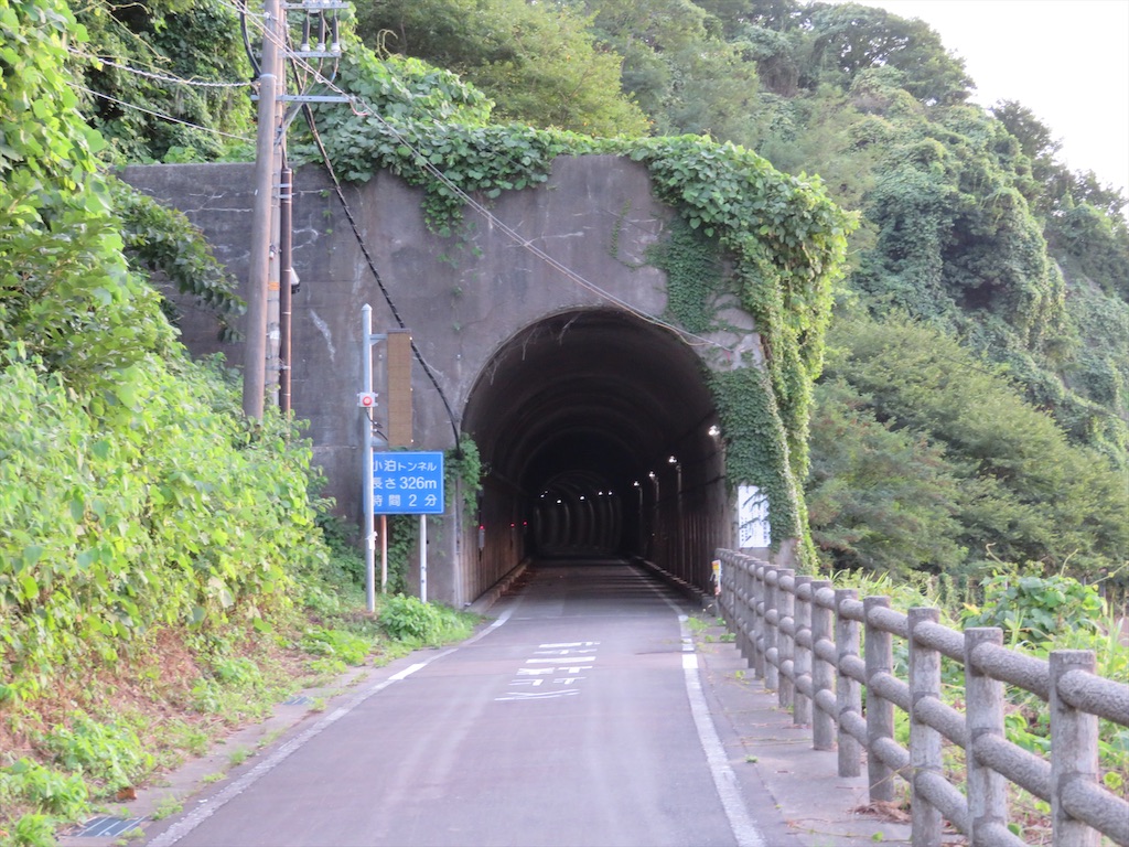 f:id:NaritaSkyAccess:20200406210348j:image f:id:NaritaSkyAccess:20200406210348j:image