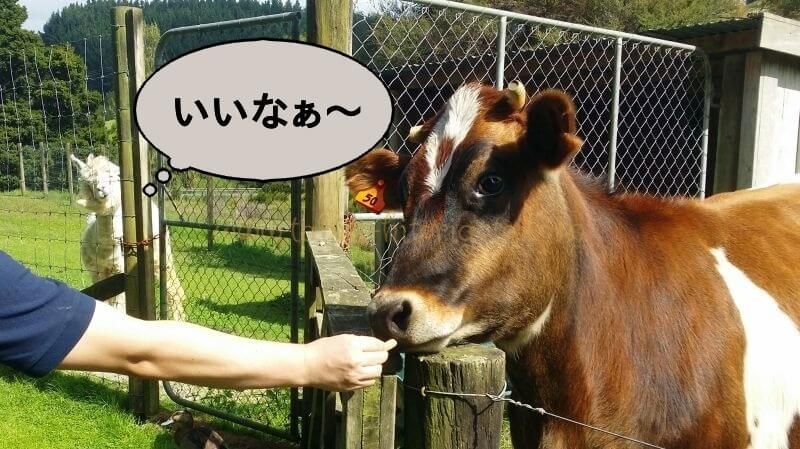 f:id:Nariyuki:20180425065232j:plain