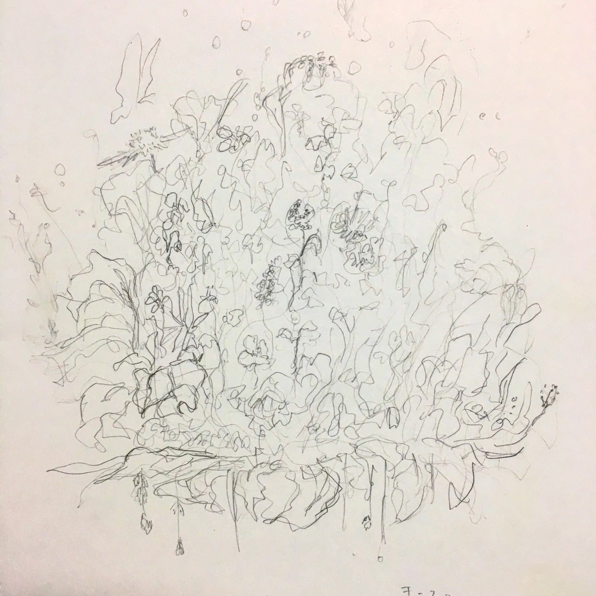 f:id:NarukawaShingo:20190415225127j:plain f:id:NarukawaShingo:20190415225127j:plain