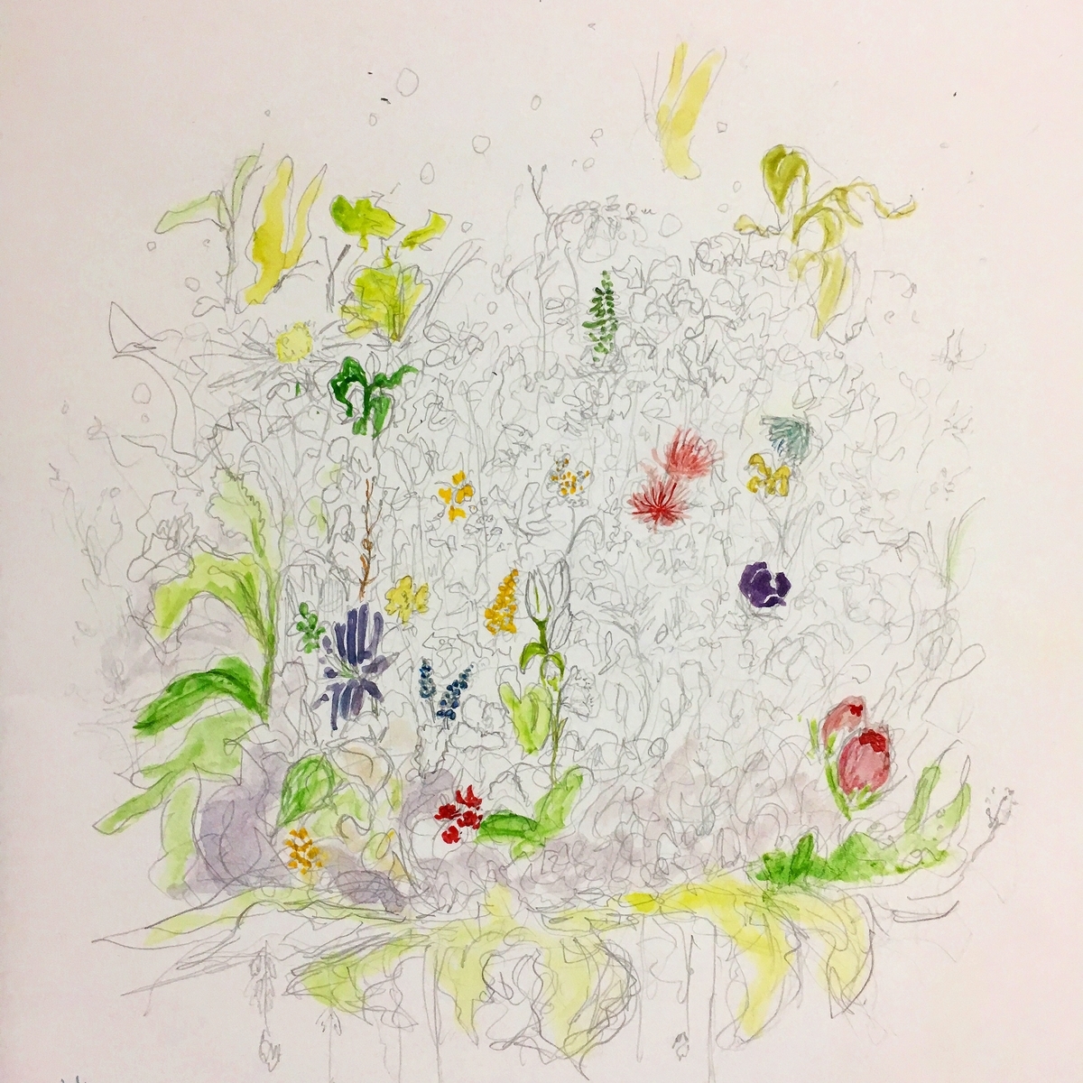 f:id:NarukawaShingo:20190415225153j:plain f:id:NarukawaShingo:20190415225153j:plain