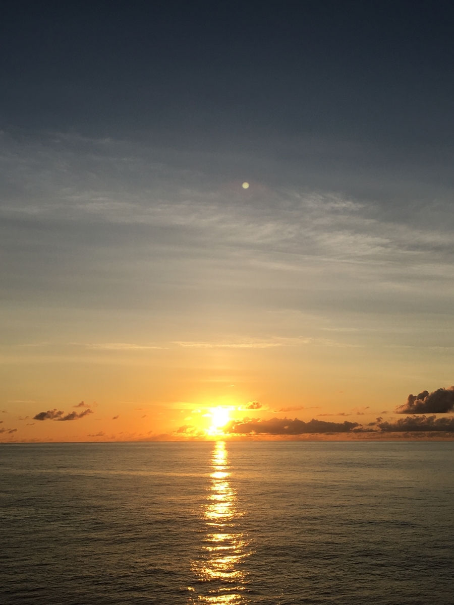 f:id:NarukawaShingo:20190903140357j:plain f:id:NarukawaShingo:20190903140357j:plain