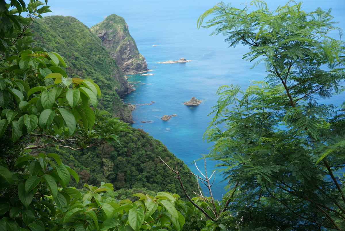 f:id:NarukawaShingo:20190903141757j:plain f:id:NarukawaShingo:20190903141757j:plain