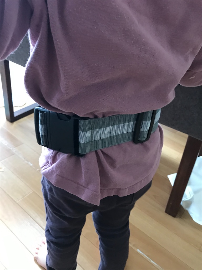 f:id:Nasumash:20200331154840j:image