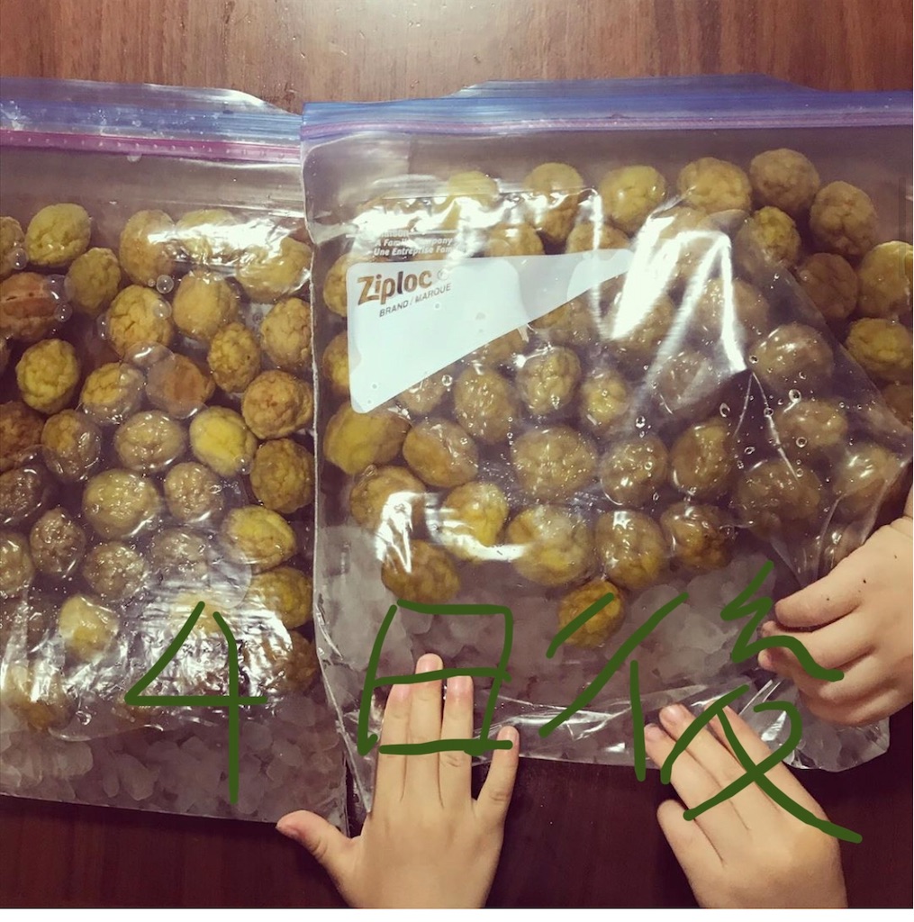 f:id:Nasumash:20200629022822j:image