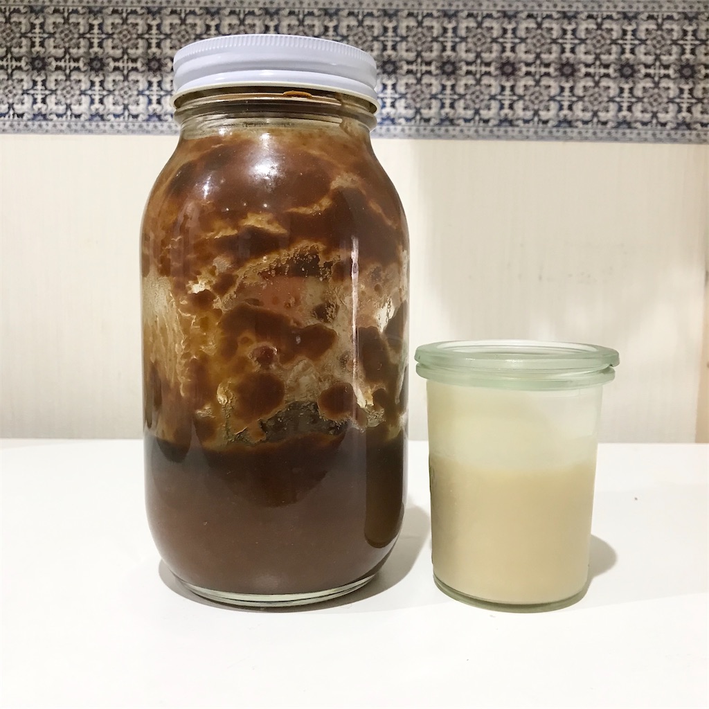 f:id:Nasumash:20200703063634j:image