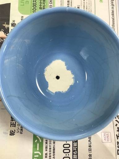 食器についた銀色の筋線、メタルマークを消す方法 - 眼鏡婦人の