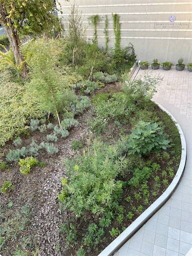 f:id:Nasumash:20241014093743j:image