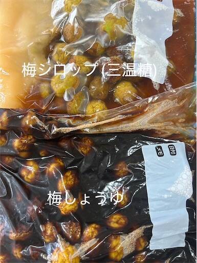f:id:Nasumash:20250702100001j:image